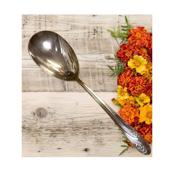 Vintage International Silver ROMANCE Large Silverplated Serving Spoon Floral Pat - Picture 1 of 4